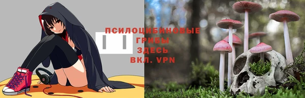 крисы Балабаново