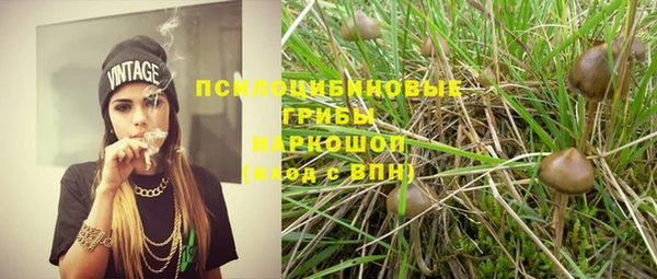 крисы Балабаново